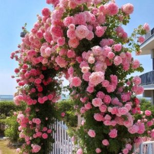 Роза Пастель Розе купить по цене от 605р. в интернет-магазине «Посадика» с доставкой почтой в в Иннополисе и по всей России – [изображение №1].